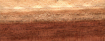 Blackwood australský - dřevo