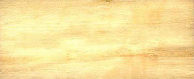 Topol osika - dřevo