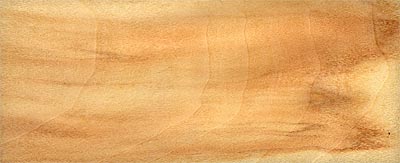 Topol osika - dřevo
