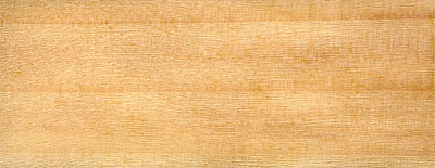 Vrba bílá - dřevo